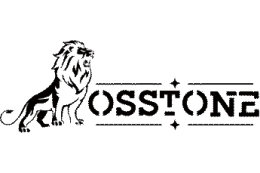 Logo OSSTONE