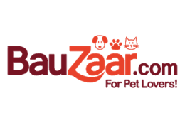Logo Bauzaar