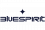 Codici sconto Bluespirit