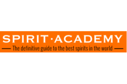 Logo Spirit Academy
