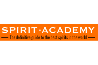 Codici Sconto Spirit Academy