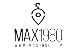 Logo MAX1980