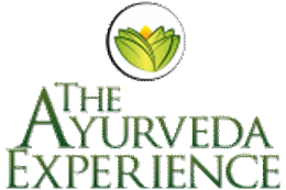 Logo The Ayurveda Experience