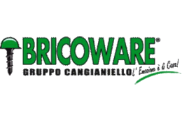 Logo Bricoware