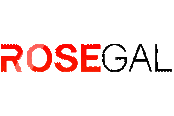 Codici Sconto Rosegal